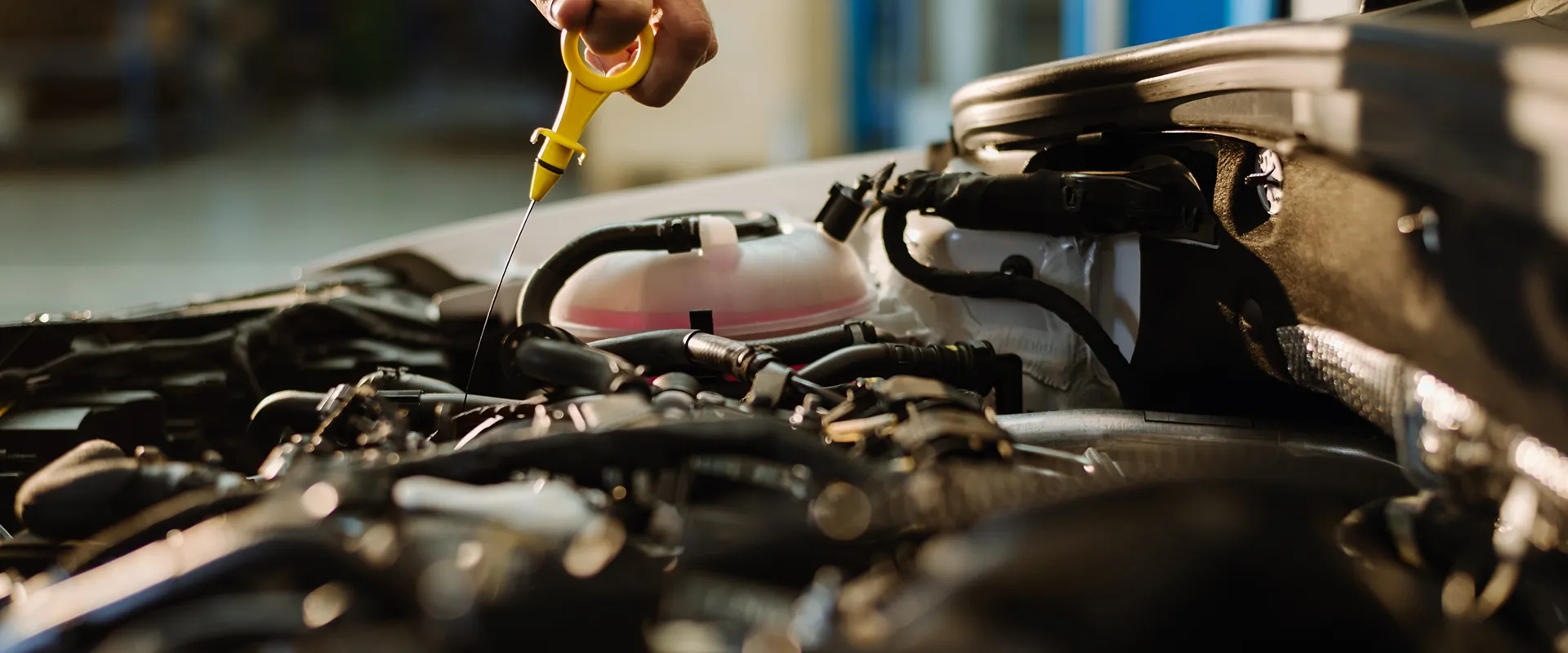 Oil Changes near Pierce, CO